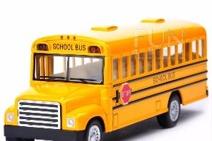Американский школьный автобус (School bus) Город Липецк